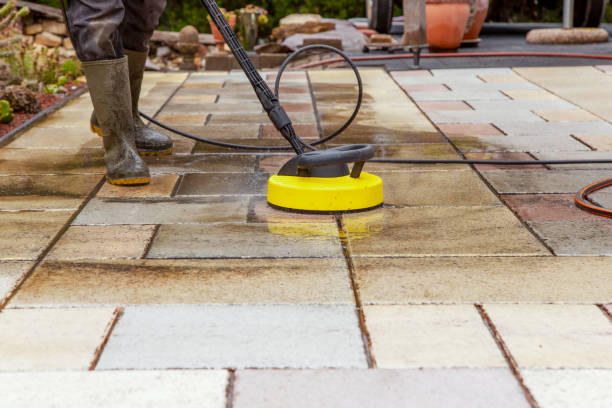 Best Restaurant Pressure Washing  in Pine Island, MN