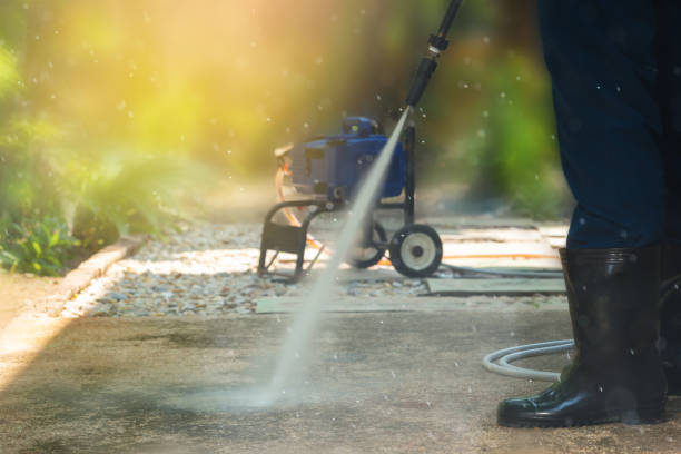 Best Factory Floor Cleaning  in Pine Island, MN